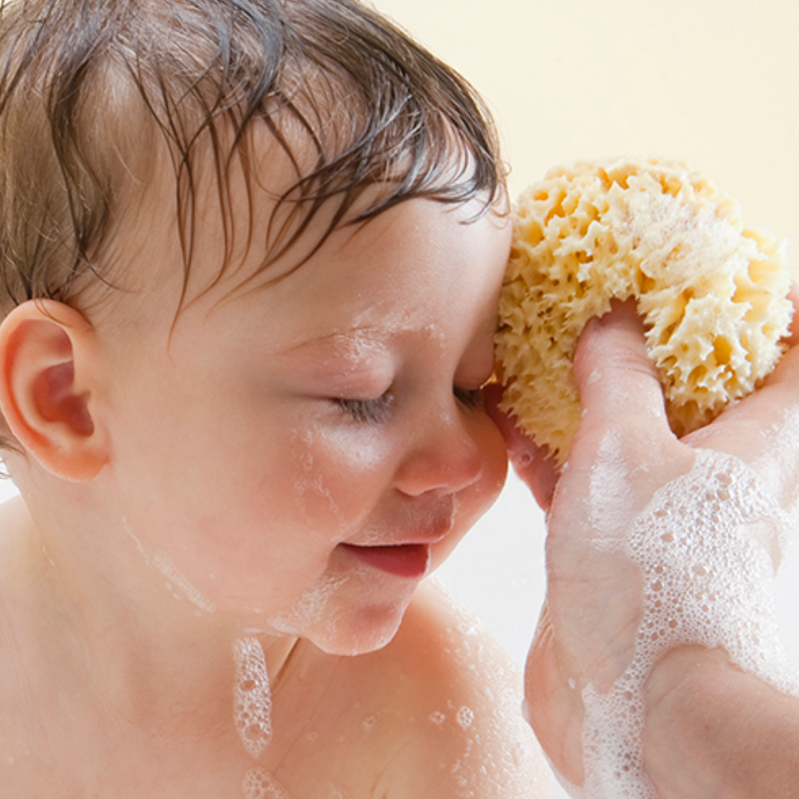 Bellini Sponges - Boy with sponge - facial sea sponge - natural sponges for bathing