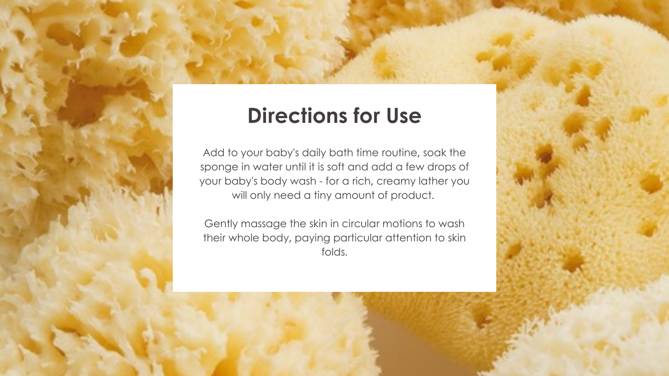 Bellini Sponges - Directions for use