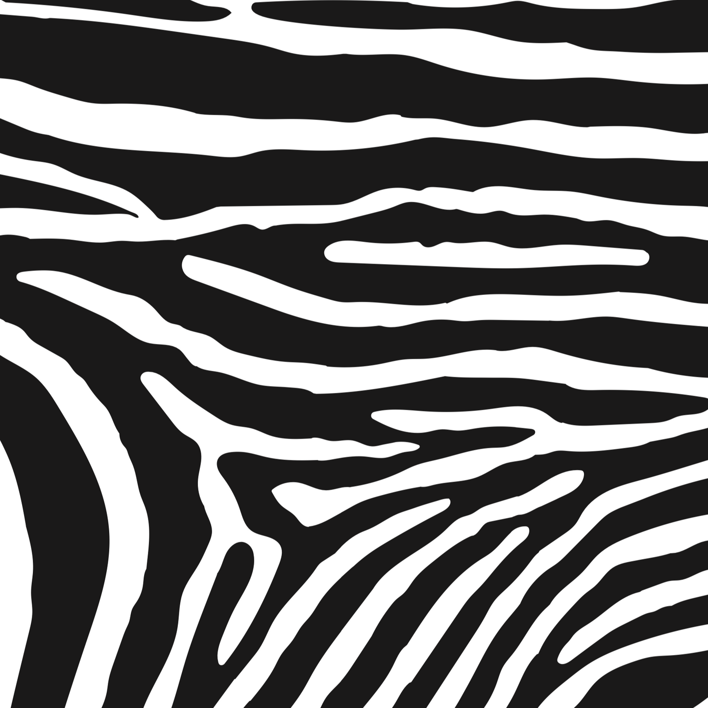 Kim & Kimmy Nappies (Zebra) - pattern