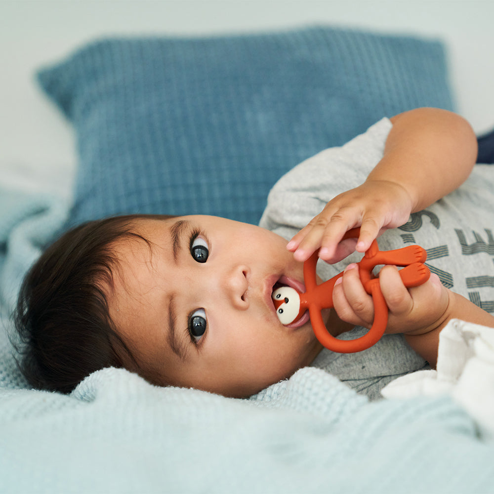 Matchstick Monkey - Animal Teether - Fudge Fox - cute boy teething
