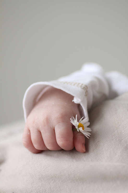 newborn baby hand holding a daisy delicate and sweet